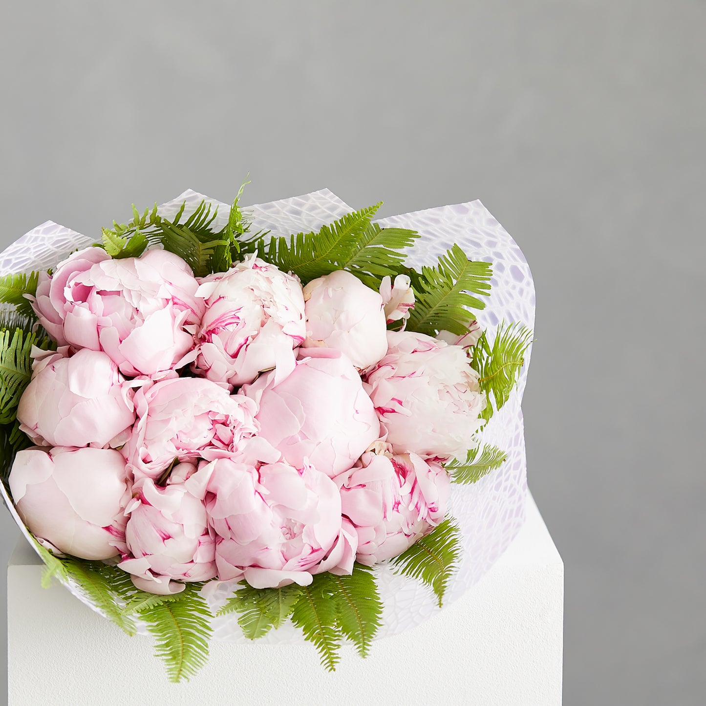 Peony Roses