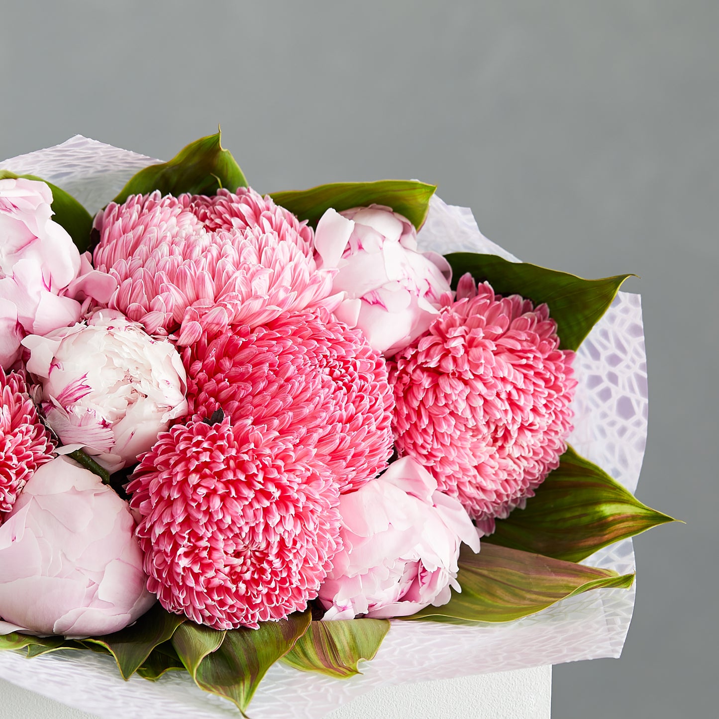 Peony Rose & Disbuds