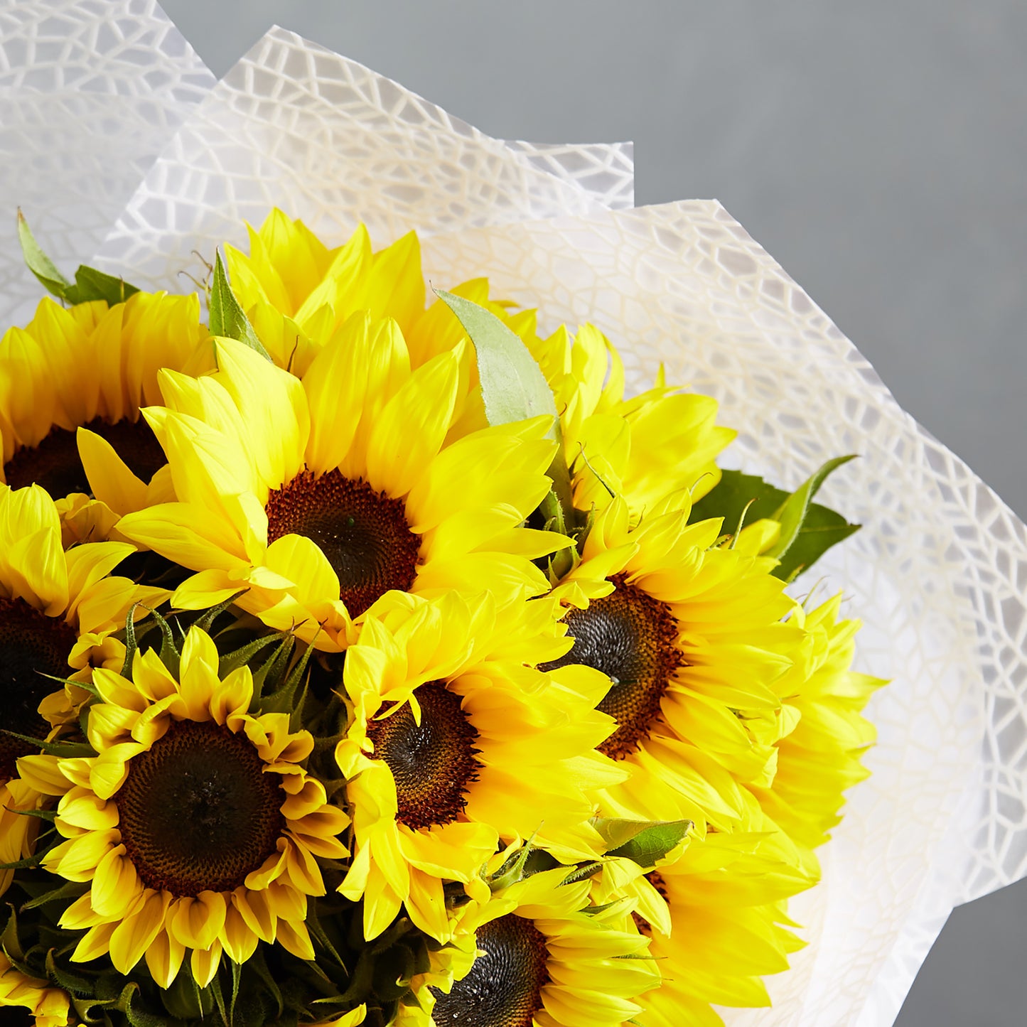 Sunflowers on Mass