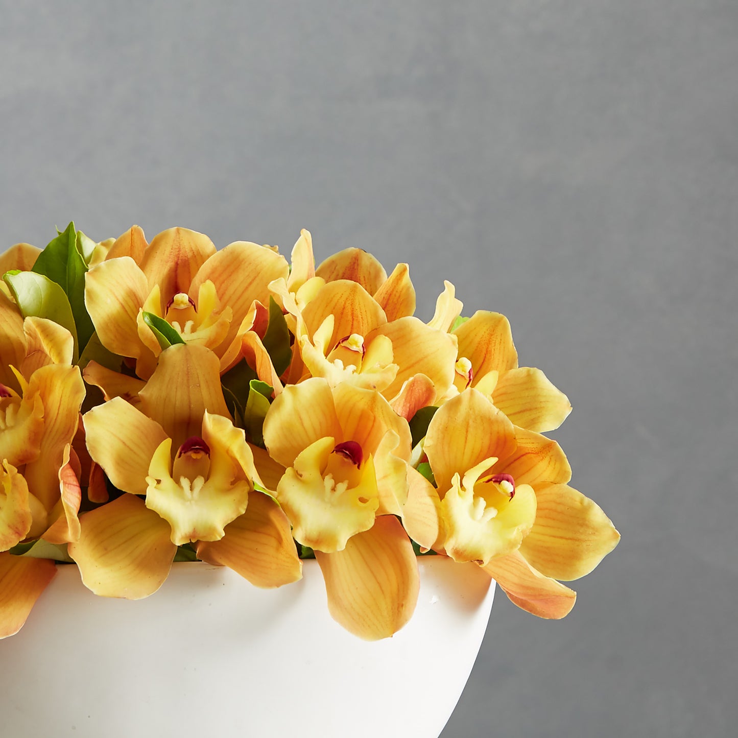 Cymbidium Orchid Bowl