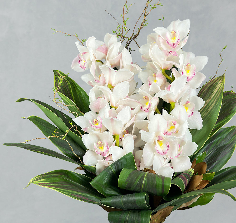 Cymbidium Vase