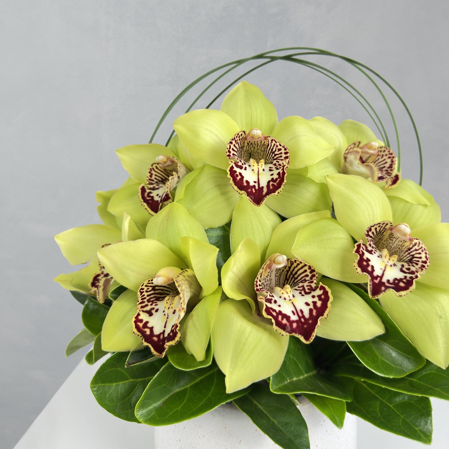 Cymbidium Bowl