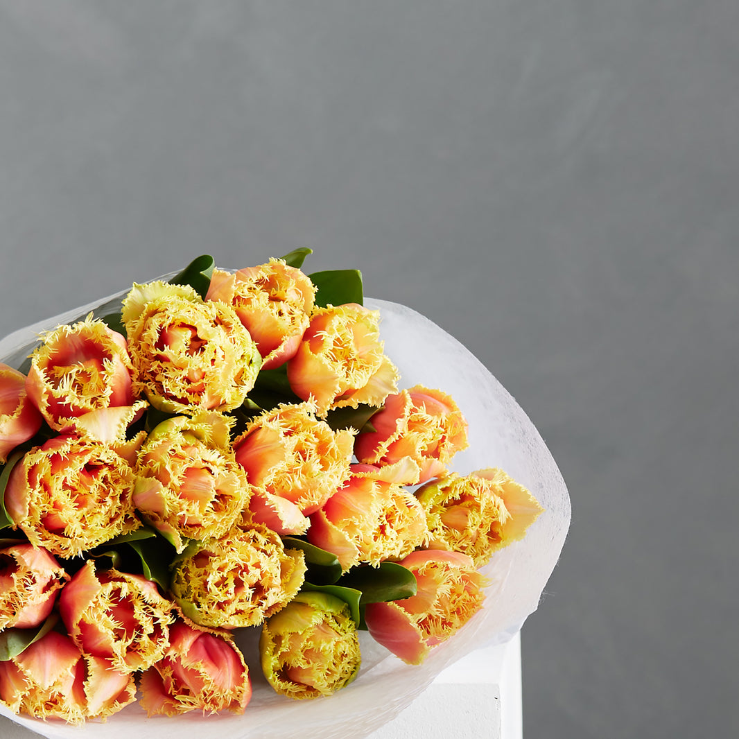 Gift Wrap Blooms Fresh Fresh Flowers