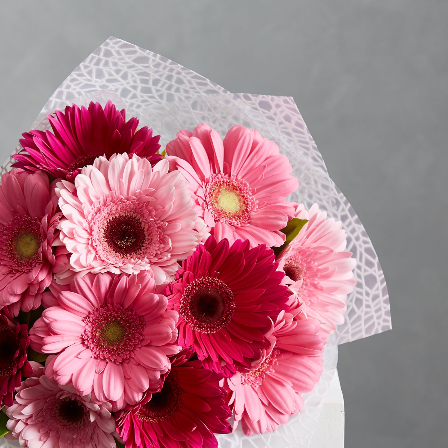 Pink Gerberas