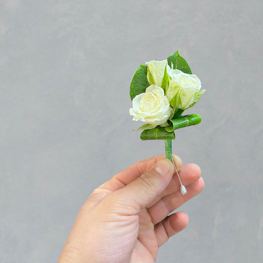 Spray Roses Buttonhole School Formal Flowers Collection – Fresh Fresh Flowers