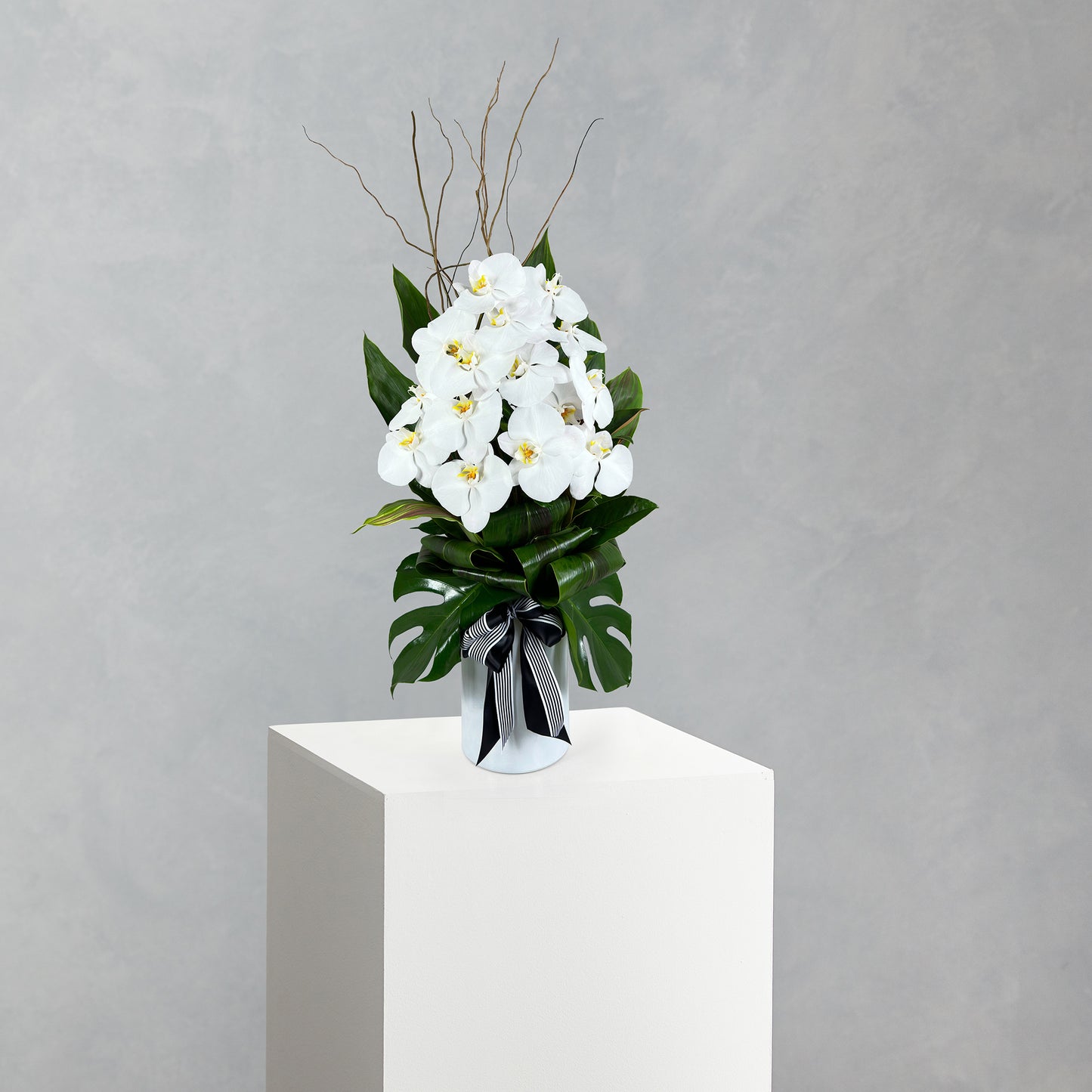 Phalaenopsis Vase